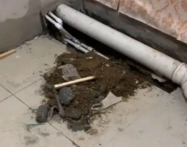 鹿泉卫生间漏水检测哪家好