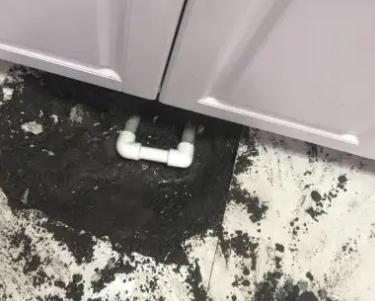 鹿泉查漏水哪家好