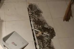 鹿泉卫生间漏水检测电话